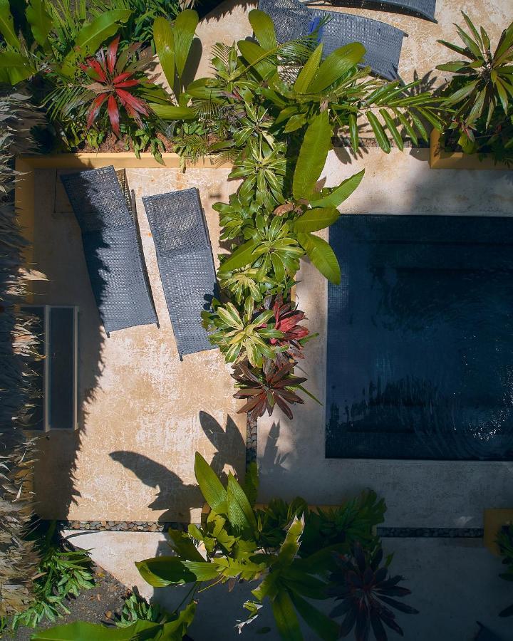 Shawandha Lodge Puerto Viejo de Talamanca ภายนอก รูปภาพ