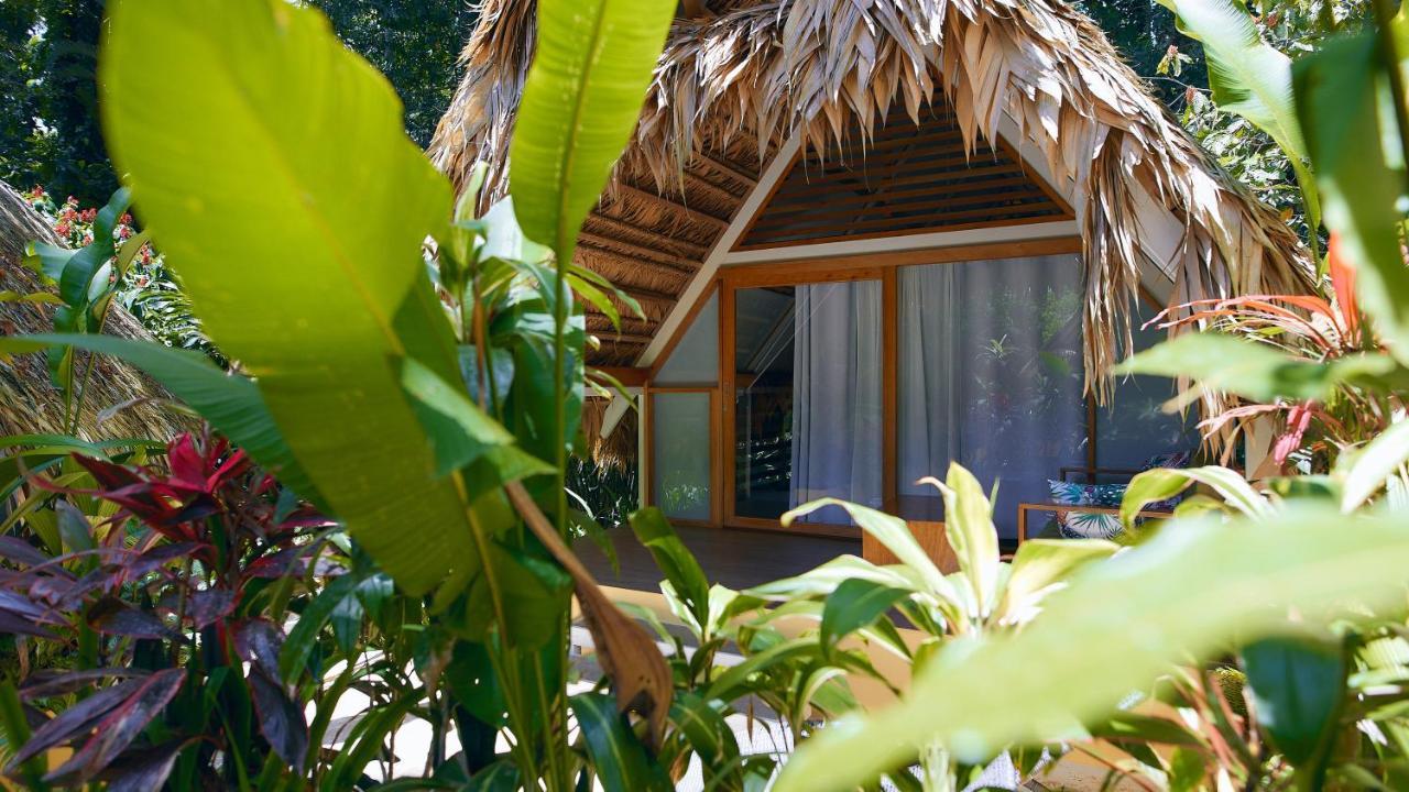Shawandha Lodge Puerto Viejo de Talamanca ภายนอก รูปภาพ