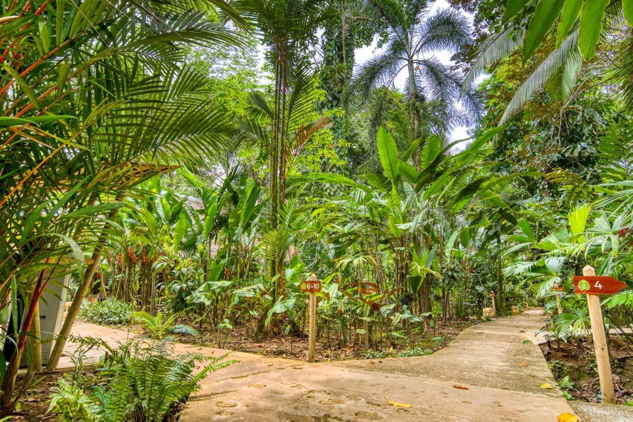 Shawandha Lodge Puerto Viejo de Talamanca ภายนอก รูปภาพ