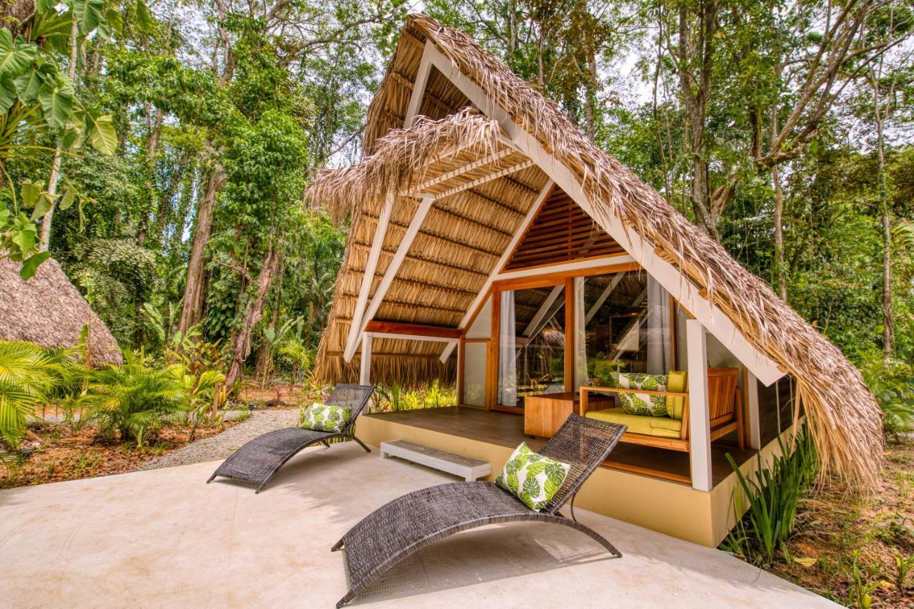 Shawandha Lodge Puerto Viejo de Talamanca ภายนอก รูปภาพ